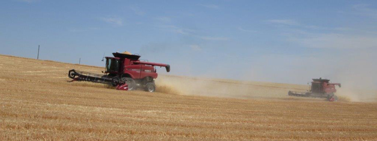 Combines Slide 10